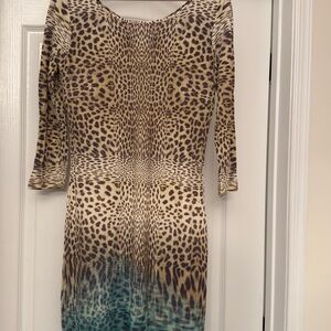 Leopard Print Ombre Dress
